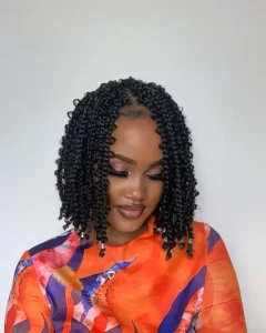 Butterfly Braids